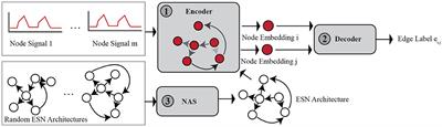 Fast and adaptive dynamics-on-graphs to dynamics-of-graphs translation